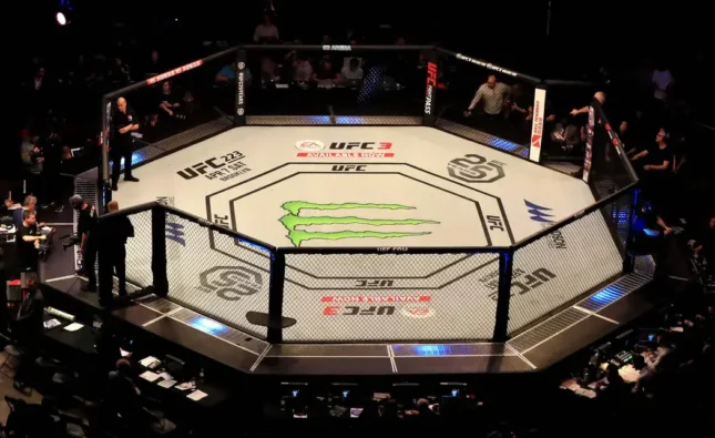 Prohibited Moves in the UFC: Ensuring Safety in the Octagon