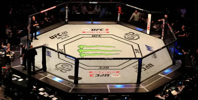 Prohibited Moves in the UFC: Ensuring Safety in the Octagon